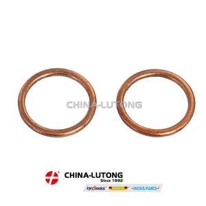 Высокое качество <span class=keywords><strong>2</strong></span> 447 010 011 Ремонтный комплект для дизельного двигателя VE Pump <span class=keywords><strong>2</strong></span> 447 010 011 для Dongfeng Tianlong KL VL для Renault - Product Image 6