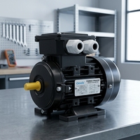 Vente directe usine Moteur à condensateur monophasé CA série MY 4KW 5.5HP 220V/230V Boîtier en aluminium Faible bruit et augmentation de température réduite