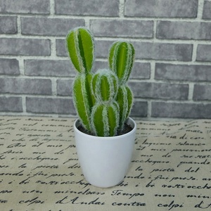 Hot prodotto di esportazione di cactus <span class=keywords><strong>piante</strong></span> succulente vaso di decorazione - Product Image 6