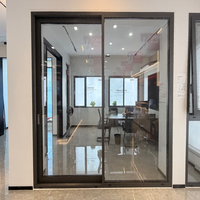 Porte coulissante en aluminium à profil étroit, grande vue, verre clair, pour villa moderne de luxe, rénovation de maison