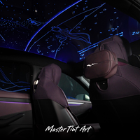Film photoélectrique OMTD ciel étoilé pour toit de voiture, idéal pour les projets de rénovation de toits ouvrants en ateliers de tuning automobile