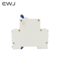 Disyuntores eléctricos de CC, disyuntores, doble 2 polos, tipo C, protector de fugas 1A 2A 3A 4A 6A 10A 16A 20A 25A 32A