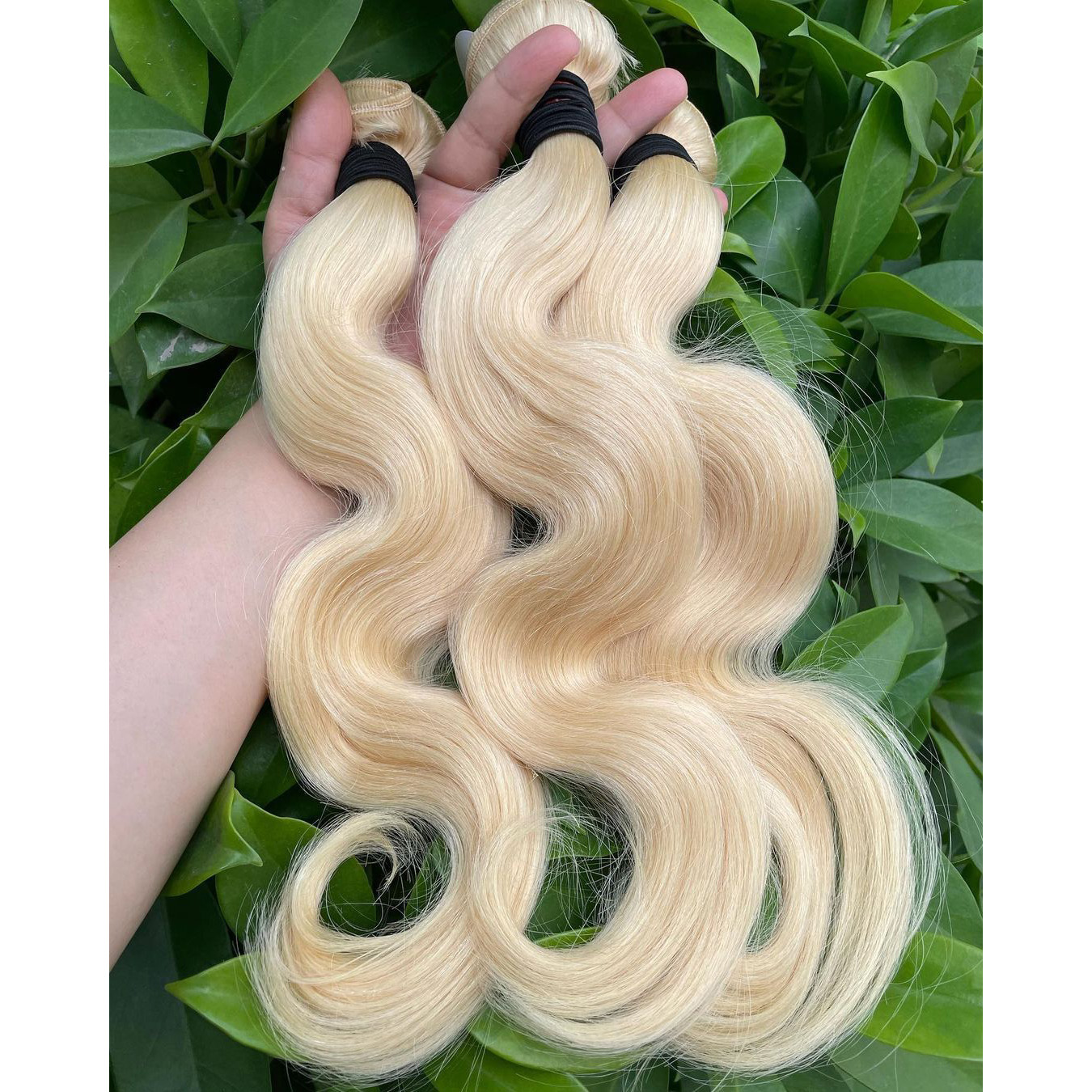 613 faisceaux d'onde corporelle