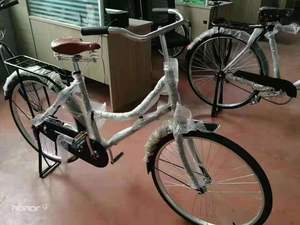 Vélo Cargo Urbain Tout-Terrain 28 pouces Monovitesse Capacité 250 kg pour l'Afrique - Product Image 6