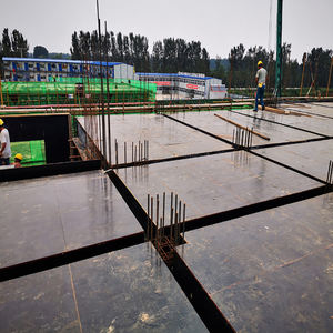 Suministro de madera contrachapada Biz Película estándar Hoja de madera contrachapada 18mm Encofrado Película Marina Madera contrachapada - Product Image 6