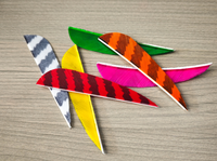 Plumes de dindon naturelles véritables pour le fletchage d'arrows de tir à l'arc, pour le bricolage, la chasse et le tir sur cible, accessoire d'arrow.