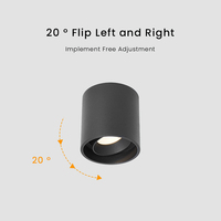 10W COB LED Downlight Anti-éblouissement lampe Spot lumières monté en Surface cylindre LED projecteurs luminaires aluminium plafond Downlight