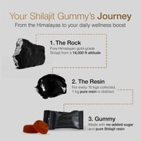 Pure Himalayan Shilajit Gummies Gold Lab Testé Sans Sucre Ajouté Ashwagandha Gokshura Antioxydant Liquide Oral pour Adultes Hommes Femmes