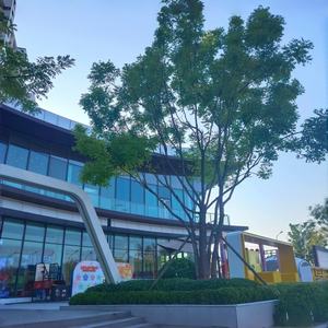 Conception <span class=keywords><strong>de</strong></span> paysage Nexus Consultation gratuite Rendu <span class=keywords><strong>3D</strong></span> Villa moderne écologique Conception graphique <span class=keywords><strong>de</strong></span> cour arrière extérieure - Product Image 6