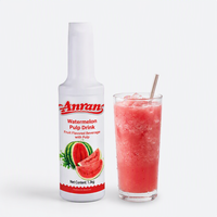 Purée de pastèque 1,3L, concentré de pulpe épaisse, sirop riche, ingrédients pour bubble tea, boissons aux fruits et boissons glacées, directement de l'usine