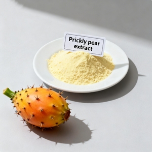 Poudre d'extrait de figue de Barbarie Longsheng de haute qualité 10:1 20:1 Poudre de <span class=keywords><strong>cactus</strong></span> - Product Image 1