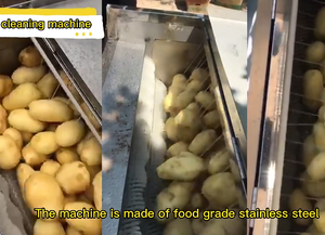 Máquina Peladora de Patatas y Zanahorias de 12 kg/hora, Lavadora de Patatas, Peladora de Yuca, Máquina de Limpieza de Frutas y Verduras - Product Image 6