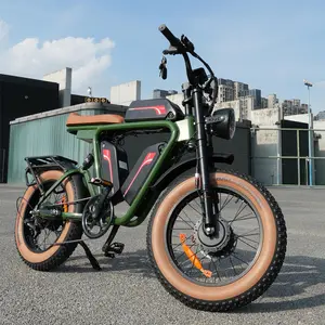 20 인치 지방 자전거 elettrica 2000w 66ah 떨어져 도로 y-olin 트리플 리튬 배터리 ebike 지방 타이어 듀얼 모터 전기 산악 자전거