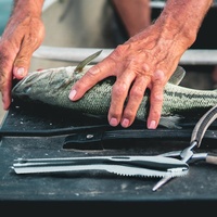 Gloway Keuken Gadgets Accessoires Handmatige Vis Huid Dunschiller Reinigingstool Rvs Vis Schaal Remover Rasp Schraper