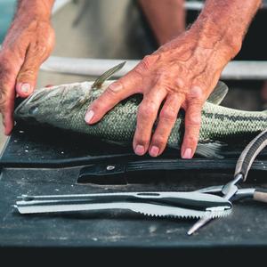 Loway-Accesorios de diagnóstico para el hogar, accesorio de cuerda de acero inoxidable de alta calidad, material de plástico - Product Image 6