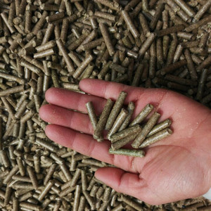Macchina per <span class=keywords><strong>Pellet</strong></span> di Legno e Mangimi Diesel, Pellettatrice per Segatura Diesel, Mulino per <span class=keywords><strong>Pellet</strong></span> di Legno Diesel - Product Image 3