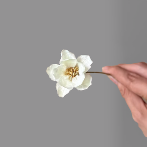 Ramo de 100g-200g de Frutos y <span class=keywords><strong>Flores</strong></span> de Ginkgo Naturales Frescos, Hechos a Mano por Zheng Ding, para Decoración de Graduación DIY - Product Image 4