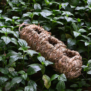 Nichoir à oiseaux en paille fait main, rectangulaire, à trois trous, décoration de jardin suspendue pour oiseaux, origine Fujian - Product Image 3