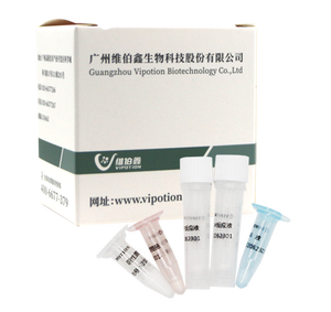 Kit PCR in Tempo Reale del Produttore, Test Liofilizzato per il Rilevamento del Virus dell'Influenza Equina H3N8, Strisce Reattive per Strumenti Veterinari - Product Image 2