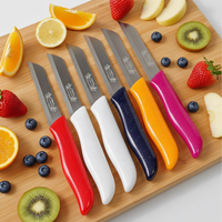Multifunctionele 304 roestvrijstalen keuken fruitmes met zaagtandvormig fruitmes, gekarteld broodmes, PP handvat, groentemes