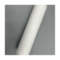 Produits populaires : Élément filtrant de type rouleau de 10 pouces, 50 µm/100 µm, longue durée de vie, avec une énorme réduction