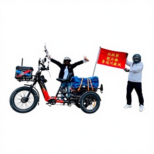 Vélo cargo électrique de bonne qualité à 3 roues, 48 V, double moteur, capteur de couple, tricycle électrique, triciclo, 132 Ah, Etrike pour personnes handicapées - Product Image 1