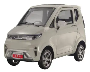 Electric Tricycles Range 80km Electric Car From China For Sale Hot Sale Eec 4 Wheel 60V Cargo Closed Mini Fully Enclosed Cars