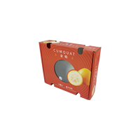 Custom Gerecycled Golfkarton Voor Vers Fruit Draagbare Ananas Papaja Cherry Export Verpakking Landbouw Verzenddozen