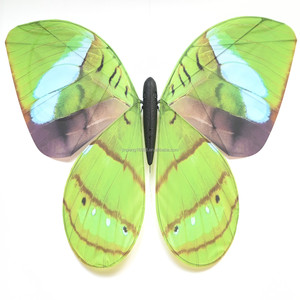 JIN PENG <span class=keywords><strong>Drone</strong></span> papillon RGB lumineux télécommandé, effet d'<span class=keywords><strong>insecte</strong></span> flottant, en stock pour la location événementielle - Product Image 1