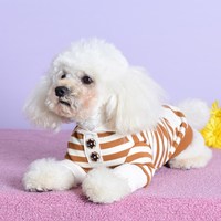 Chien et propriétaire tenues assorties vêtements pour chiens combinaison pour animaux de compagnie veste à quatre jambes accessoires tenue luxe Labubu Onesie sweat à capuche humain
