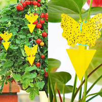 Pièges collants bicolores de forme irrégulière personnalisée, haute efficacité d'attraction pour tous types de parasites volants des plantes
