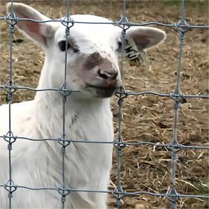 Nhúng nóng mạ kẽm cố định nút lĩnh vực hàng rào dây lưới gia súc bò dê ngựa Hươu hàng rào trang trại - Product Image 4