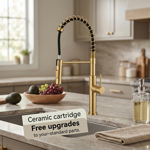 Pull Out Spring 2 Function Spray <strong>Head</strong> Faucet 2 Way Kitchen Sink Mixer Faucets Gold Stainless Steel <strong>Taps</strong> 1 Handle Single Hole <strong>Tap</strong> - Product Image 1