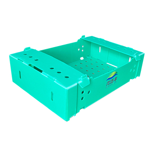 Coroplast en plastique pour fruits en plastique, corail, <span class=keywords><strong>cerise</strong></span>, pour pomme rai - Product Image 2