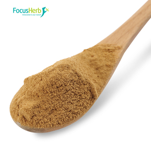 Focusherb Vente en gros d'extrait pur de champignon Chaga, poudre de Chaga 80 mesh - Product Image 2