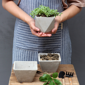 Nordic Simple Design Good Price Cement Mini <strong>Cactus</strong> Succulent Flower <strong>Pots</strong> <strong>for</strong> Wholesale - Product Image 3
