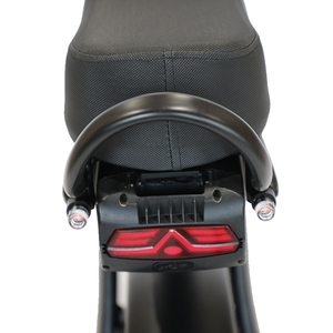 ATV08N de 1000W con Motor Dual de 20 Pulgadas, 2 Asientos, Modelo Ruff - Product Image 5