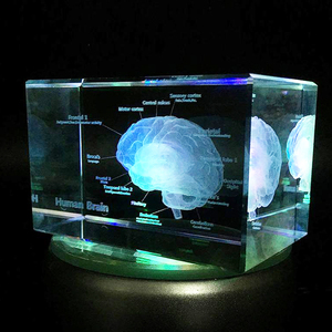 Modèle anatomique médical du cerveau humain en cristal K9 brillant, artisanat, <span class=keywords><strong>cube</strong></span> <span class=keywords><strong>photo</strong></span> en verre <span class=keywords><strong>3D</strong></span>, laser, <span class=keywords><strong>cube</strong></span> en cristal vierge, presse-papier - Product Image 1