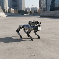 Robot Cuadrúpedo TEPKOBOT XGO-lite3, 15DOF, Kit Educativo STEM, Programación en Python, ROS, Raspberry Pi, IA