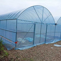 Serre commerciale intelligente à simple portée pour la culture de tomates, serre en polycarbonate