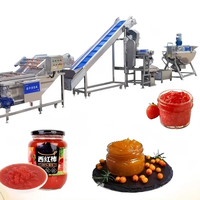 Complete commerciële bakkerijlijn voor jam en groenten, volledig automatische verwerkingsmachines, voedselveilige roestvrij staal, capaciteit 500