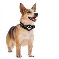Traceur GPS portable pour animaux de compagnie, pour chien et chat, dispositif de localisation anti-perte, collier anti-perte en temps réel, étanche
