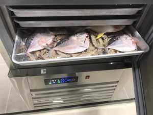 Équipement de réfrigération d'usine OEM et ODM Congélateur de poisson industriel à congélation rapide Congélateur et réfrigérateur à chocs verticaux et mobiles - Product Image 3