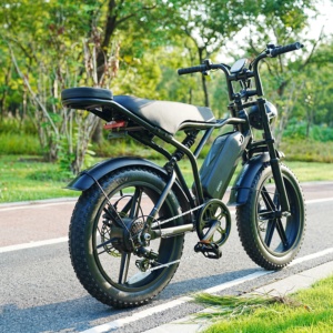 Bicicleta Eléctrica Súper Potente con Marco de Aleación de Aluminio, Batería de 48V500W, Super Ebike 73 - Product Image 2