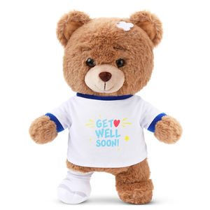 دمية دب محشوة ناعمة وجميلة بتصميم جديد عالي الجودة V349، هدية للأطفال للتعافي من الإصابات وتحقيق الشفاء العاجل - Product Image 1