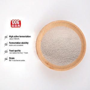 Levure sèche instantanée de marque boulangère double étoile pour la boulangerNouvelle levure sèche à faible et haute teneur en sucre - Product Image 2