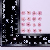Fleurs de Sorbaria Sorbifolia séchées pressées en gros pour la fabrication de marque-pages en résine, de bijoux et de décorations pour coques de téléphone portable