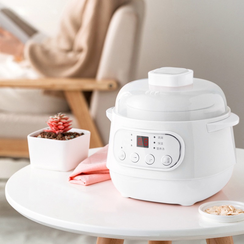Electric slow cooker [white]
