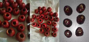 เครื่องคว้านลำต้นเชอร์รี่เชอร์รี่เครื่องคว้านแกนแกนผลไม้ที่มีฟันเลื่อยคมใช้งานได้จริง - Product Image 5