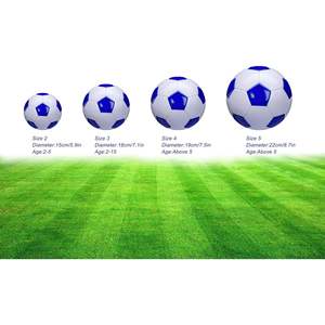 Ballon de football SPDTECH Taille 2 3 4 5 Blanc Bleu PU Intérieur Extérieur Sports Scolaires Anti-Explosion Design Classique - Product Image 6